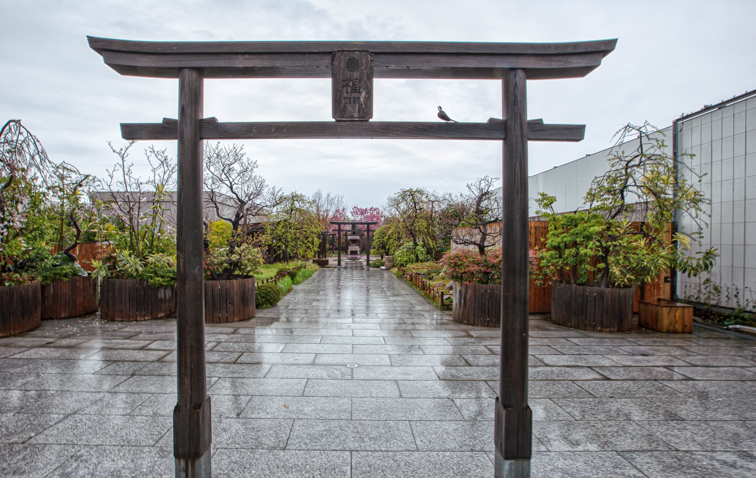 ⛩️ 철도 신사 (아뮤플라자 오이타 옥상) 이미지 6